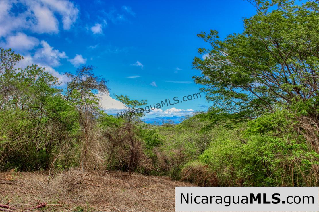 Eco Estate View Property 1.5 Acres Las Fincas de Escamequita