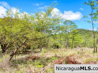 Fire Sale Las Fincas Escamequita Lot 20 over 2.5 acres
