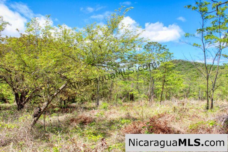 🌿 Price Drop Alert: Over 2.5 Acres of Tranquil Bliss in Las Fincas Escamequita for Only $39,000!