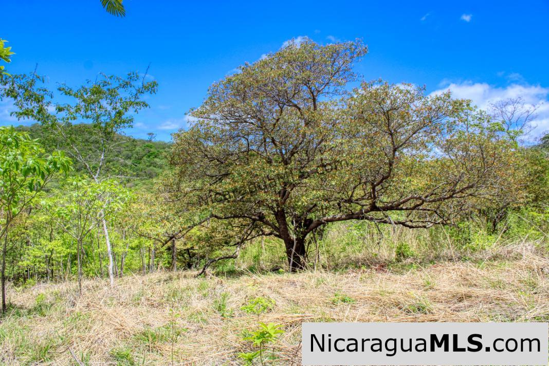 Fire Sale Las Fincas Escamequita Lot 20 over 2.5 acres
