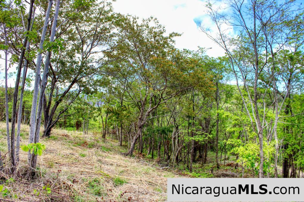 Fire Sale Las Fincas Escamequita Lot 20 over 2.5 acres