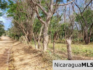 Premium Acre Road to Beaches No Restrictions San Juan del Sur