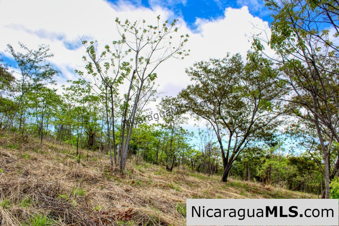 Fire Sale Las Fincas Escamequita Lot 20 over 2.5 acres