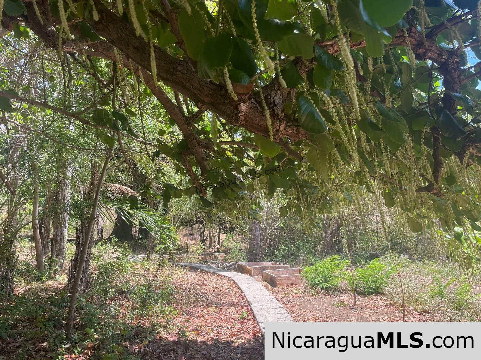 17 acres property with Investment opportunity