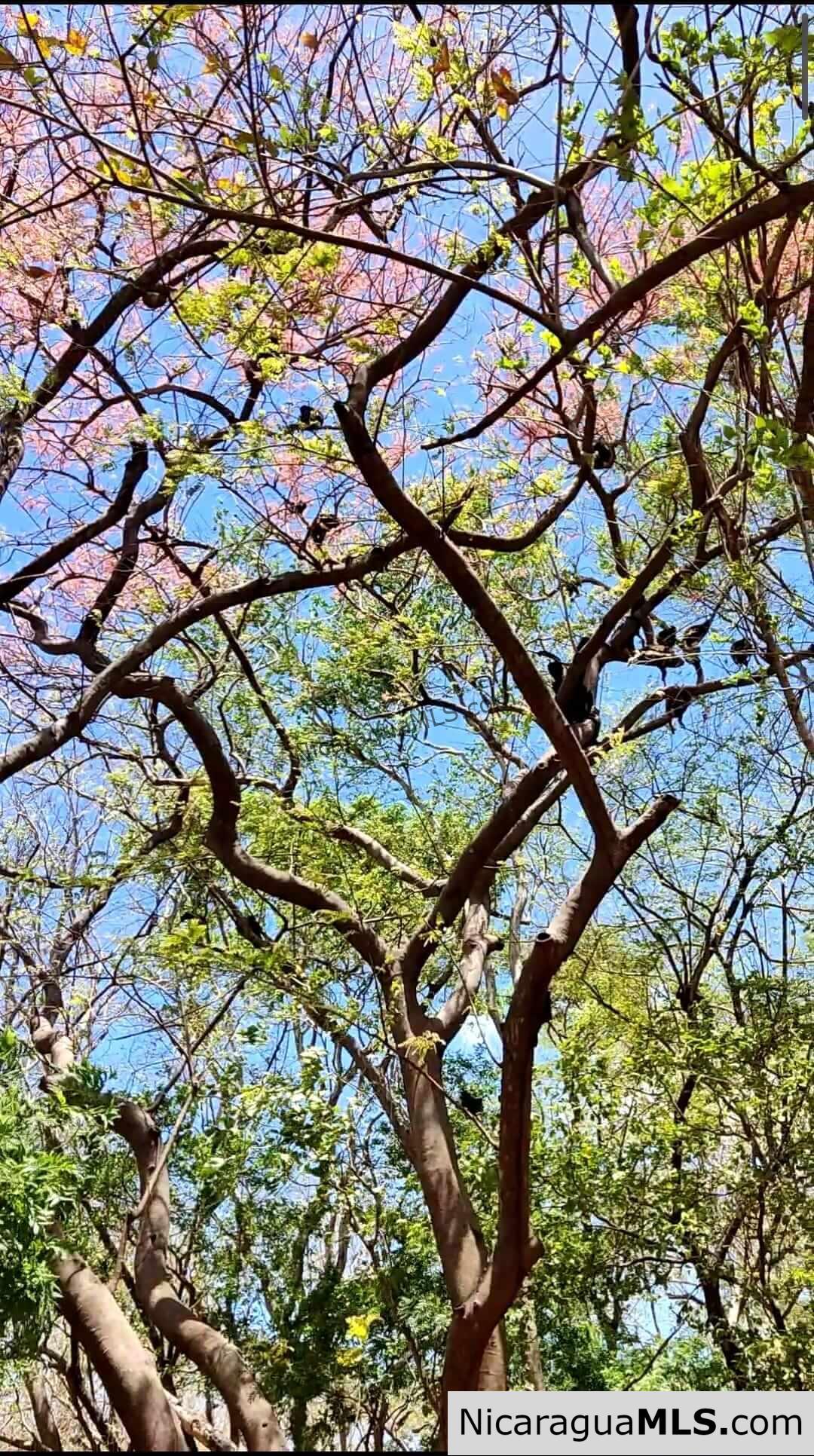 17 Acres Property with Investment Opportunity EL Oro