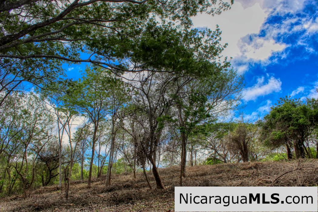 Eco Estate View Property 1.5 Acres Las Fincas de Escamequita