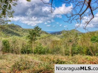 Ocean View Rolling Acres Privacy Arriba Verde Estate