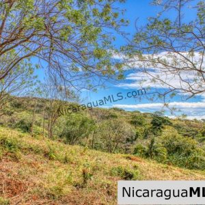 SOLD - Half Acre Lot Luxury Life Development Tree Casa FIRE SALE