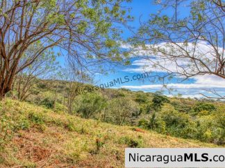 Half Acre Lot Luxury Life Development TreeCasa FIRE SALE