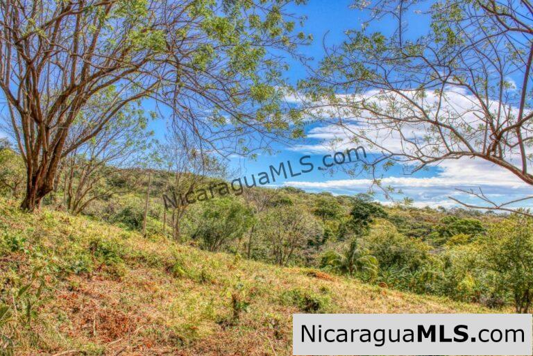Fire Sale Alert! Half-Acre Jungle Paradise in San Juan del Sur – Unbeatable Price!