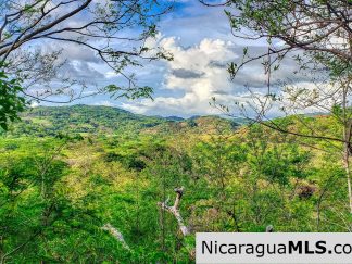 Remanso Hills Forested Views