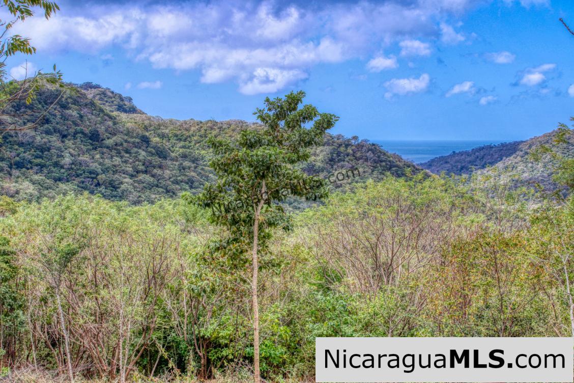 Ocean View Rolling Acres Privacy Arriba Verde Estate