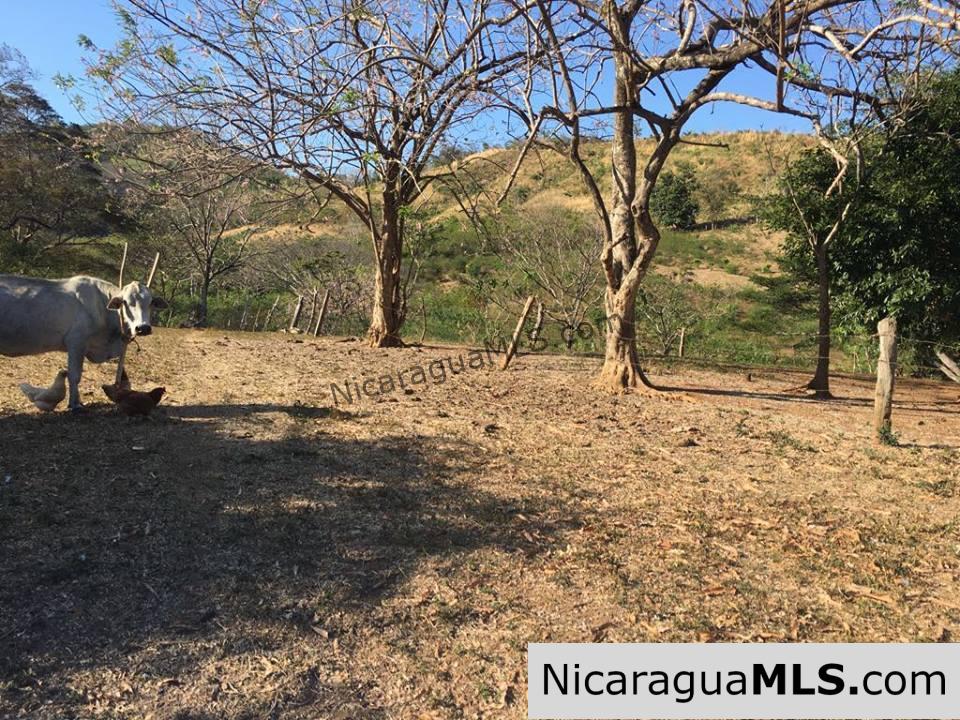 Unspoiled Jungle Property in Miravalle