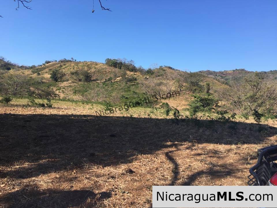 Unspoiled Jungle Property in Miravalle