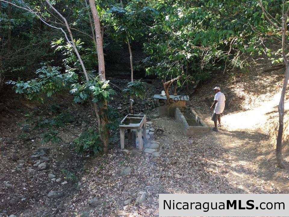 Unspoiled Jungle Property in Miravalle