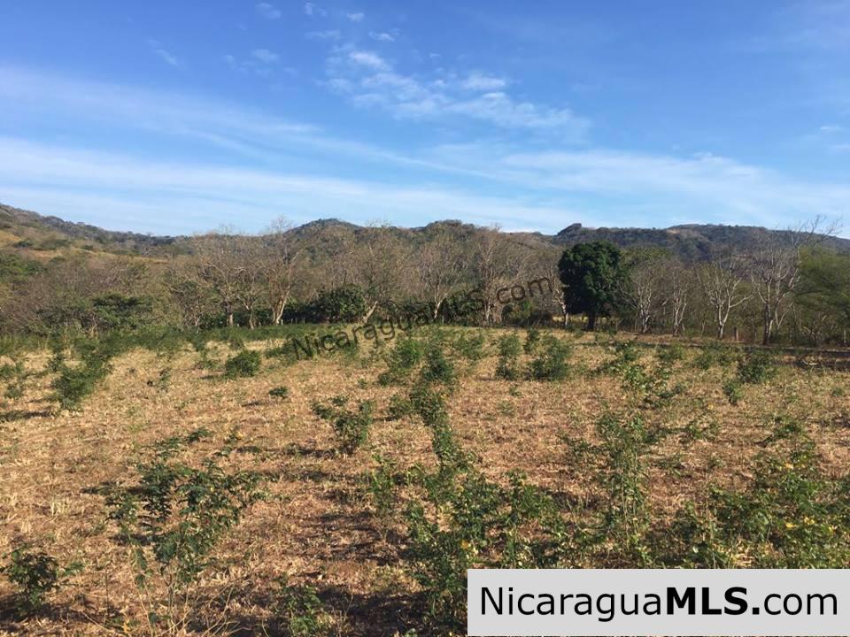 Unspoiled Jungle Property in Miravalle