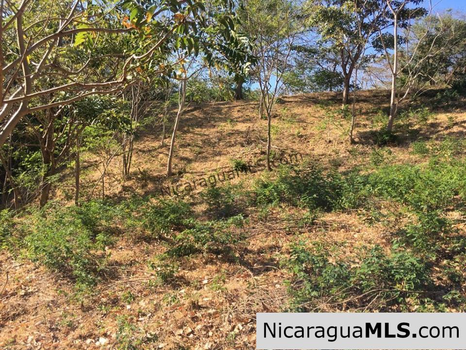 Unspoiled Jungle Property in Miravalle