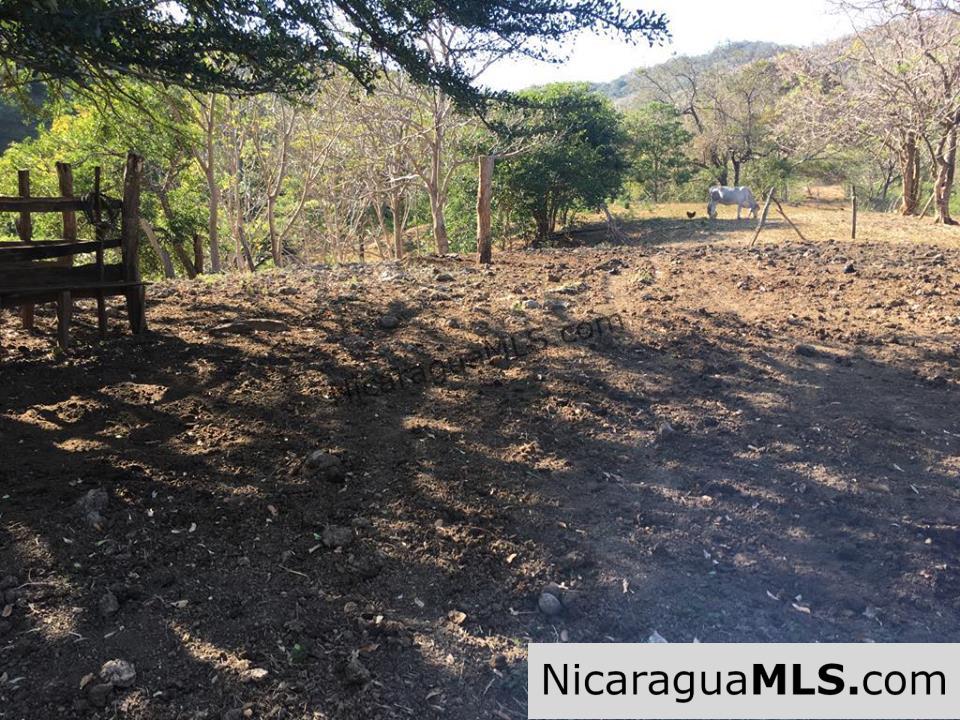 Unspoiled Jungle Property in Miravalle