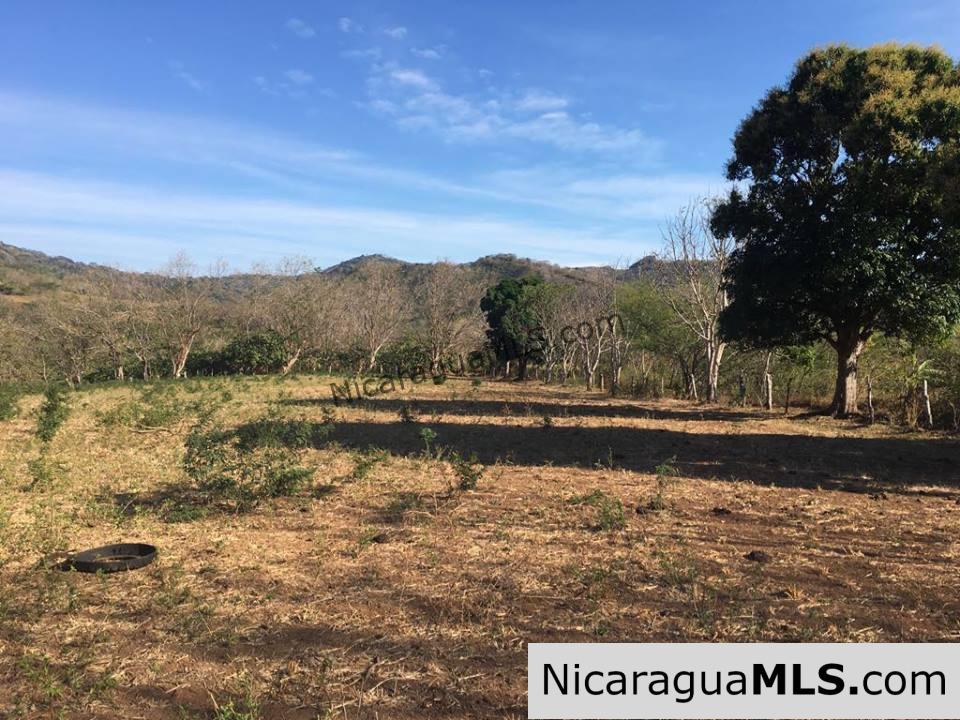 Unspoiled Jungle Property in Miravalle