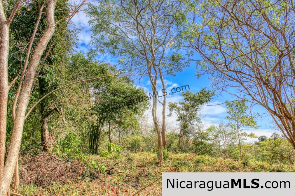 Half Acre Lot Luxury Life Development TreeCasa FIRE SALE