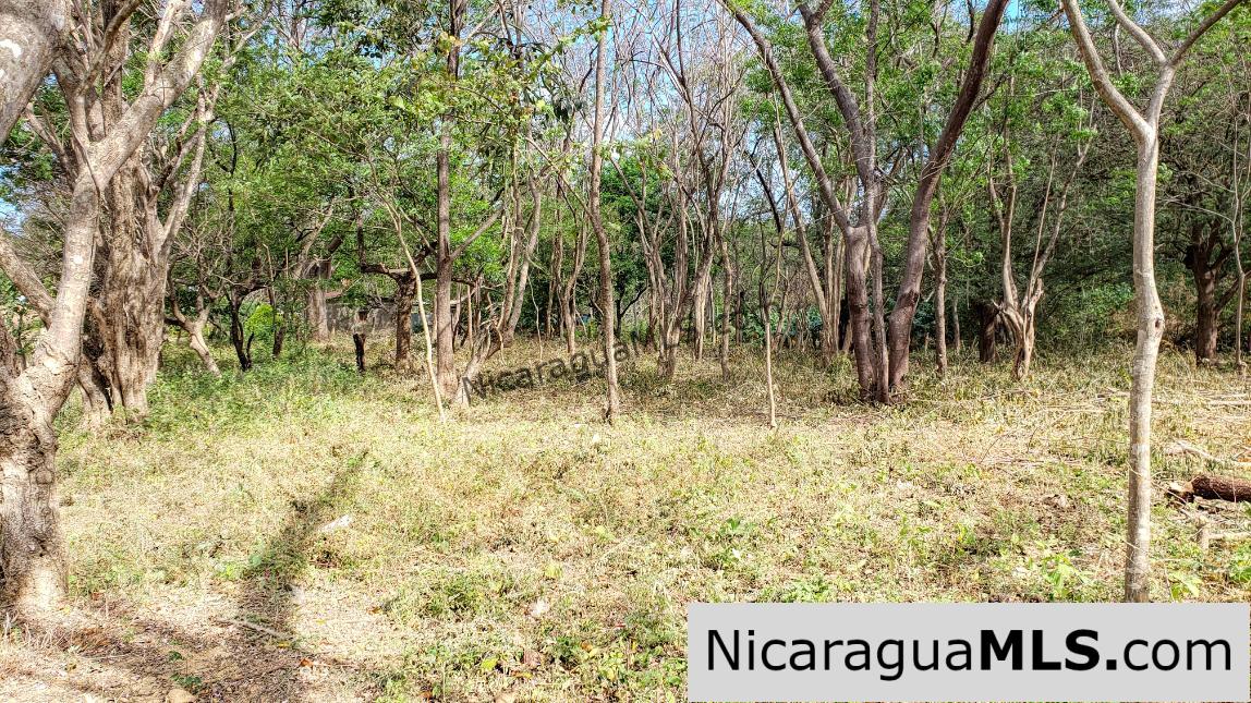 Premium Acre Road to Beaches No Restrictions San Juan del Sur