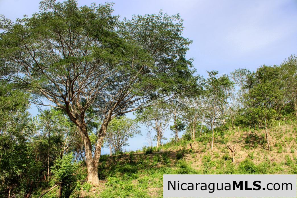 7 Acre View Homesite Minutes to San Juan del Sur Town