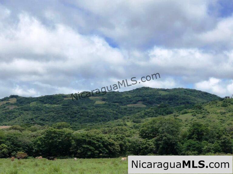 Price Update Alert: 4 Acres of Opportunity in Las Delicias!