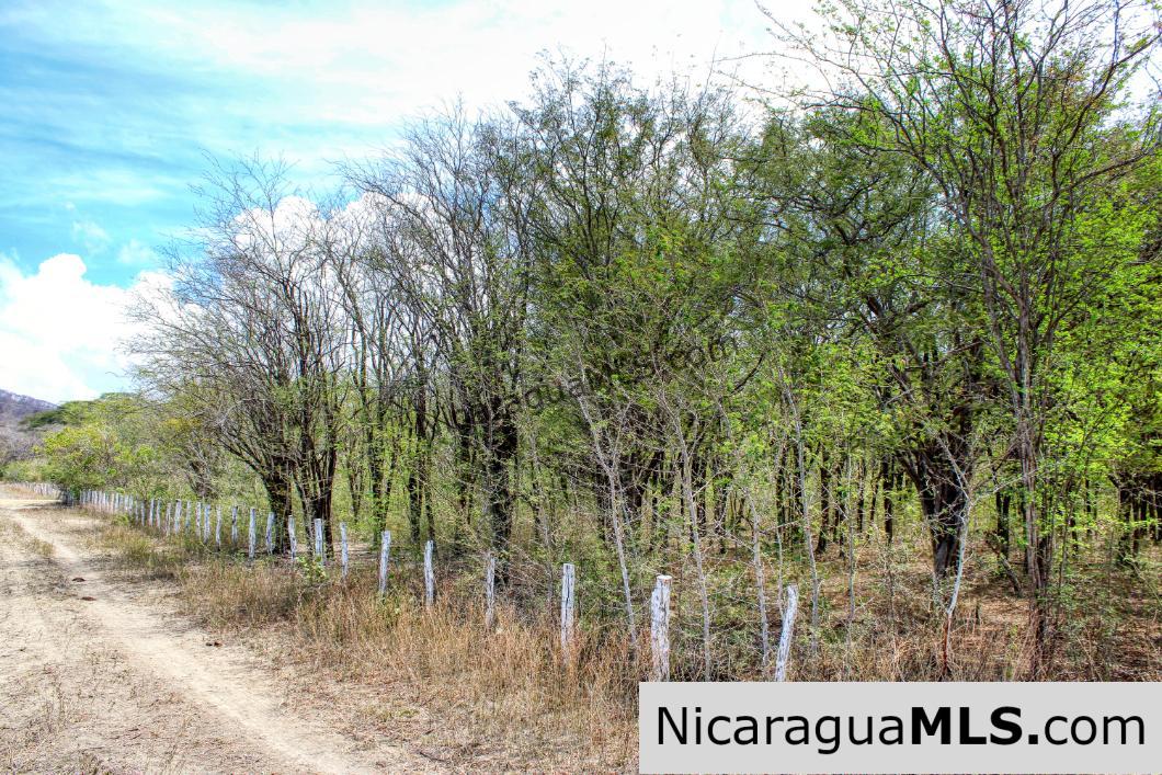 1 Block to Ocean 3.5 acres Lots 5 & 6 Prado de la Bahia Ostional