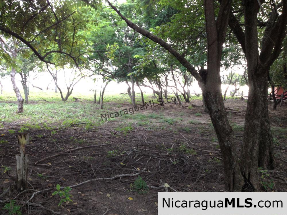 Beachfront Hacienda Iguana