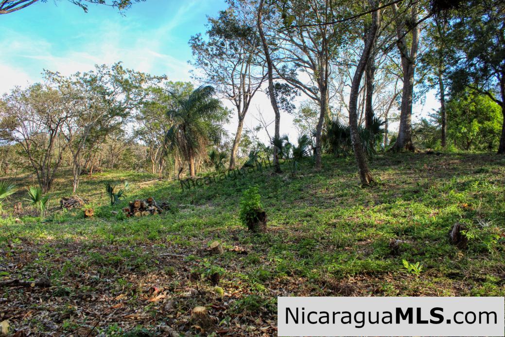 Mountain to Beach Half acre View La Cuesta SJDS