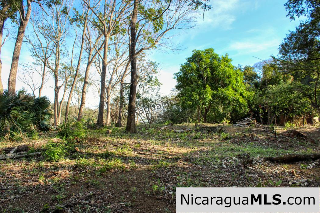 Mountain to Beach Half acre View La Cuesta SJDS