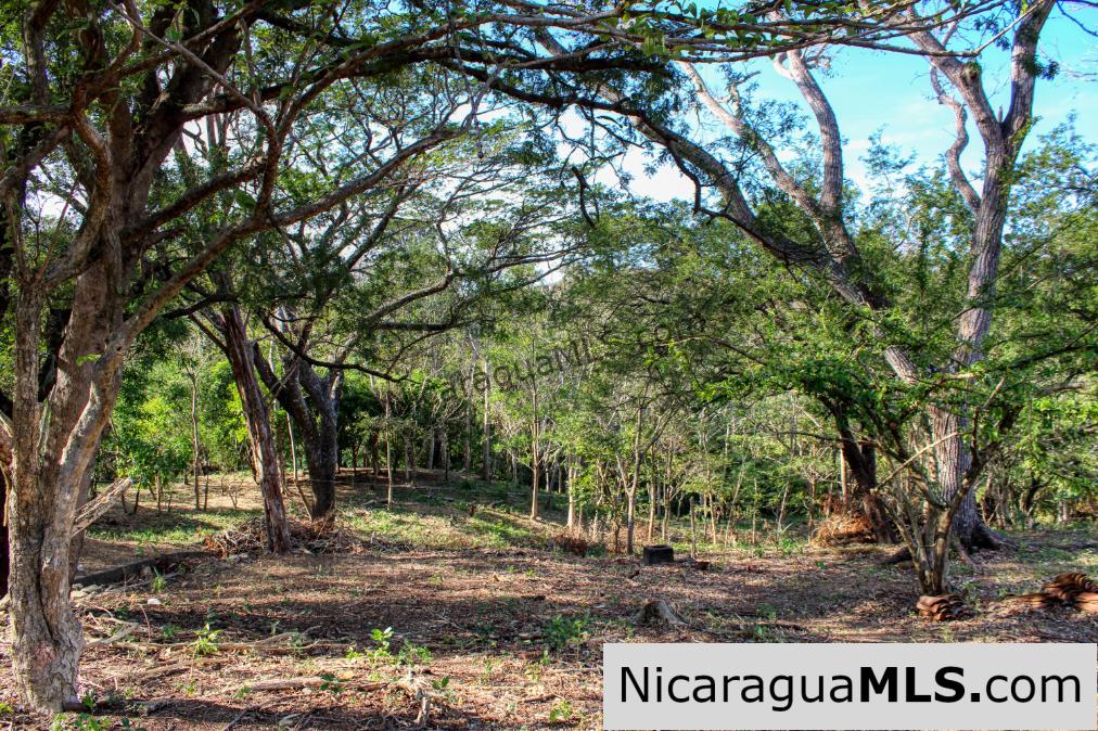 Mountain to Beach Half acre View La Cuesta SJDS