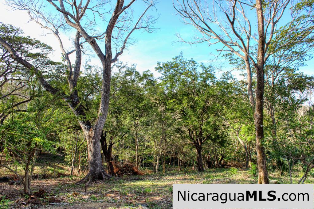 Mountain to Beach Half acre View La Cuesta SJDS