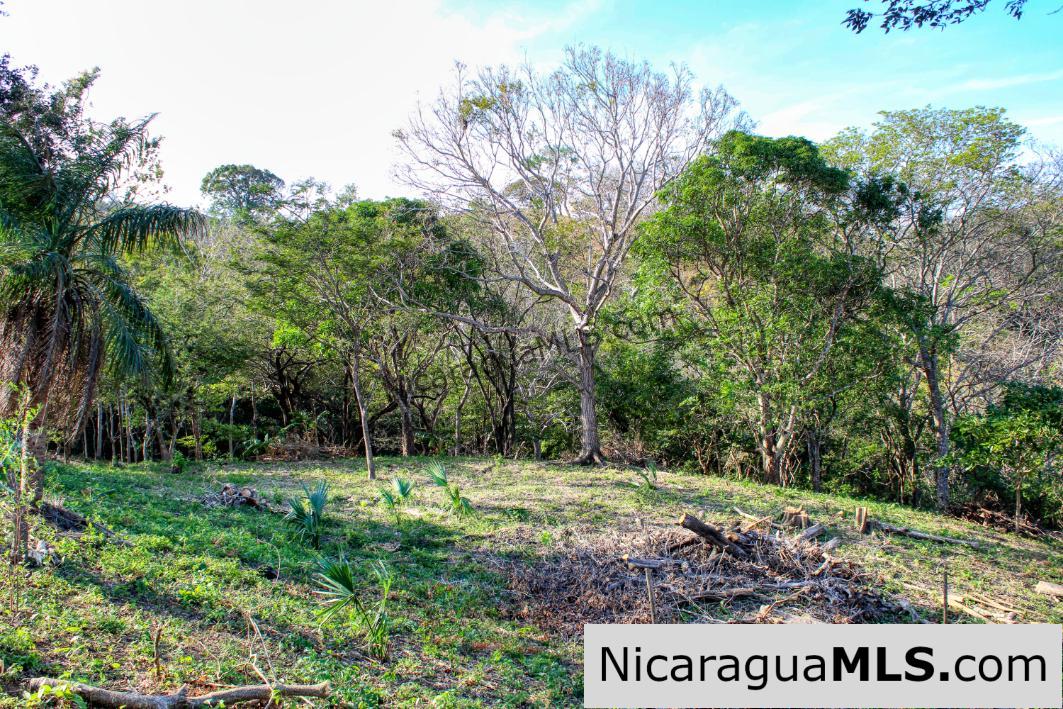 Mountain to Beach Half acre View La Cuesta SJDS