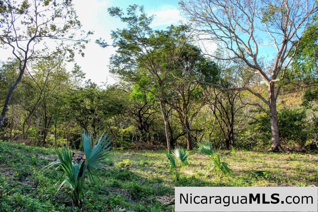 Mountain to Beach Half acre View La Cuesta SJDS