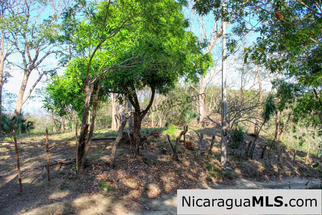 1.5 acres Nestled in Nature SJDS Financing Available