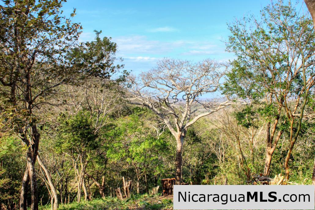 Mountain to Beach Half acre View La Cuesta SJDS