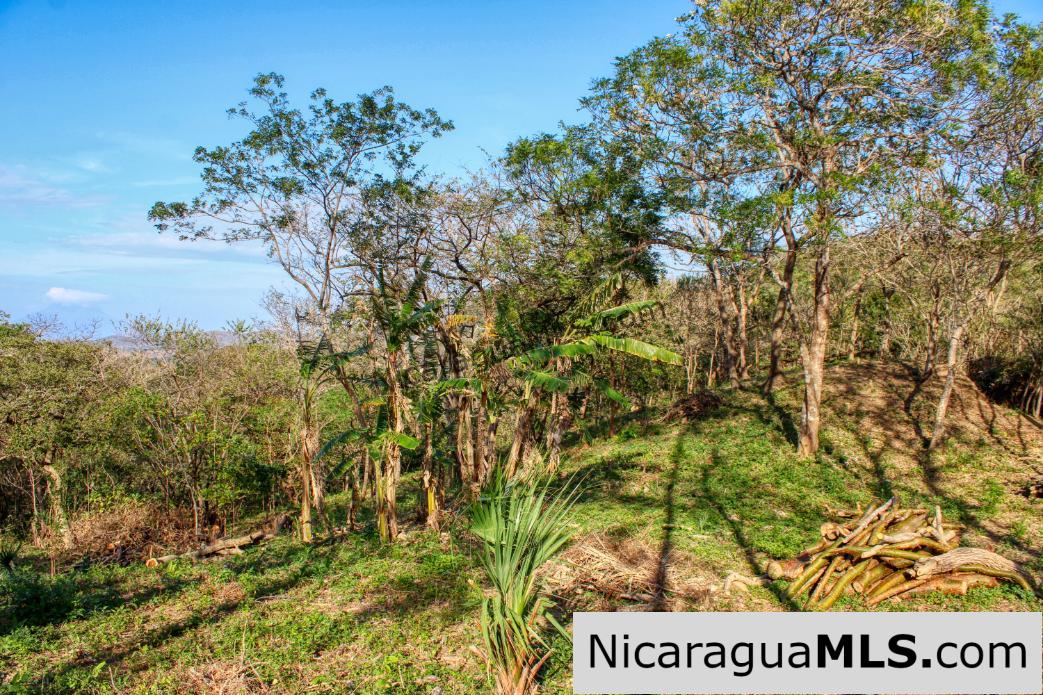 Mountain to Beach Half acre View La Cuesta SJDS
