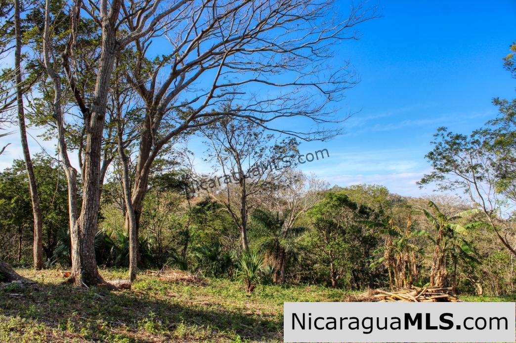 Mountain to Beach Half acre View La Cuesta SJDS