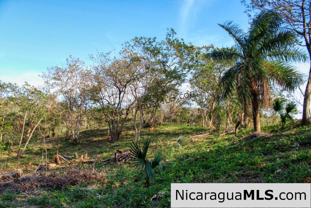 Mountain to Beach Half acre View La Cuesta SJDS