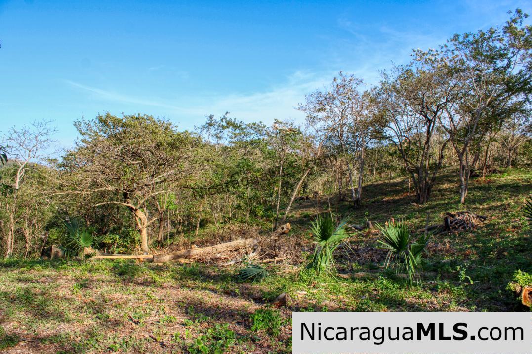 1.5 acres Nestled in Nature SJDS Financing Available