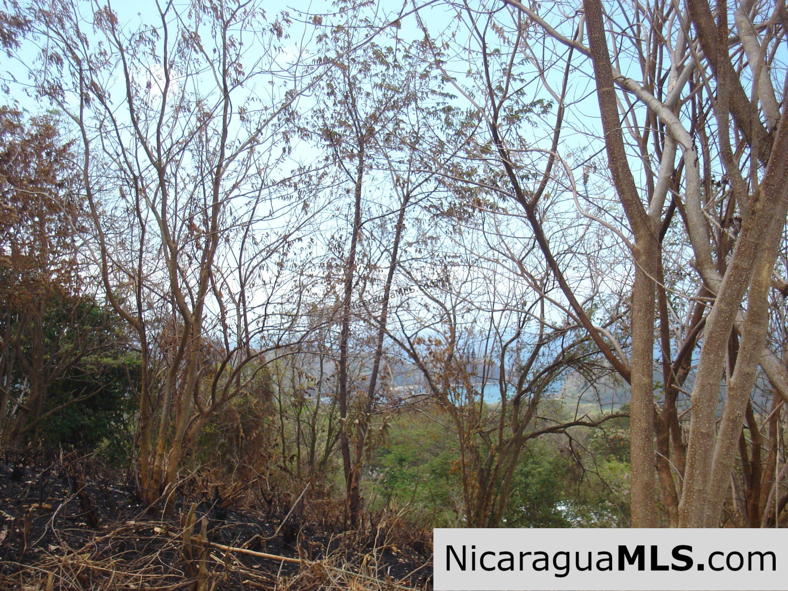 Rancho Papayal Lots Near TreeCasa San Juan Del Sur