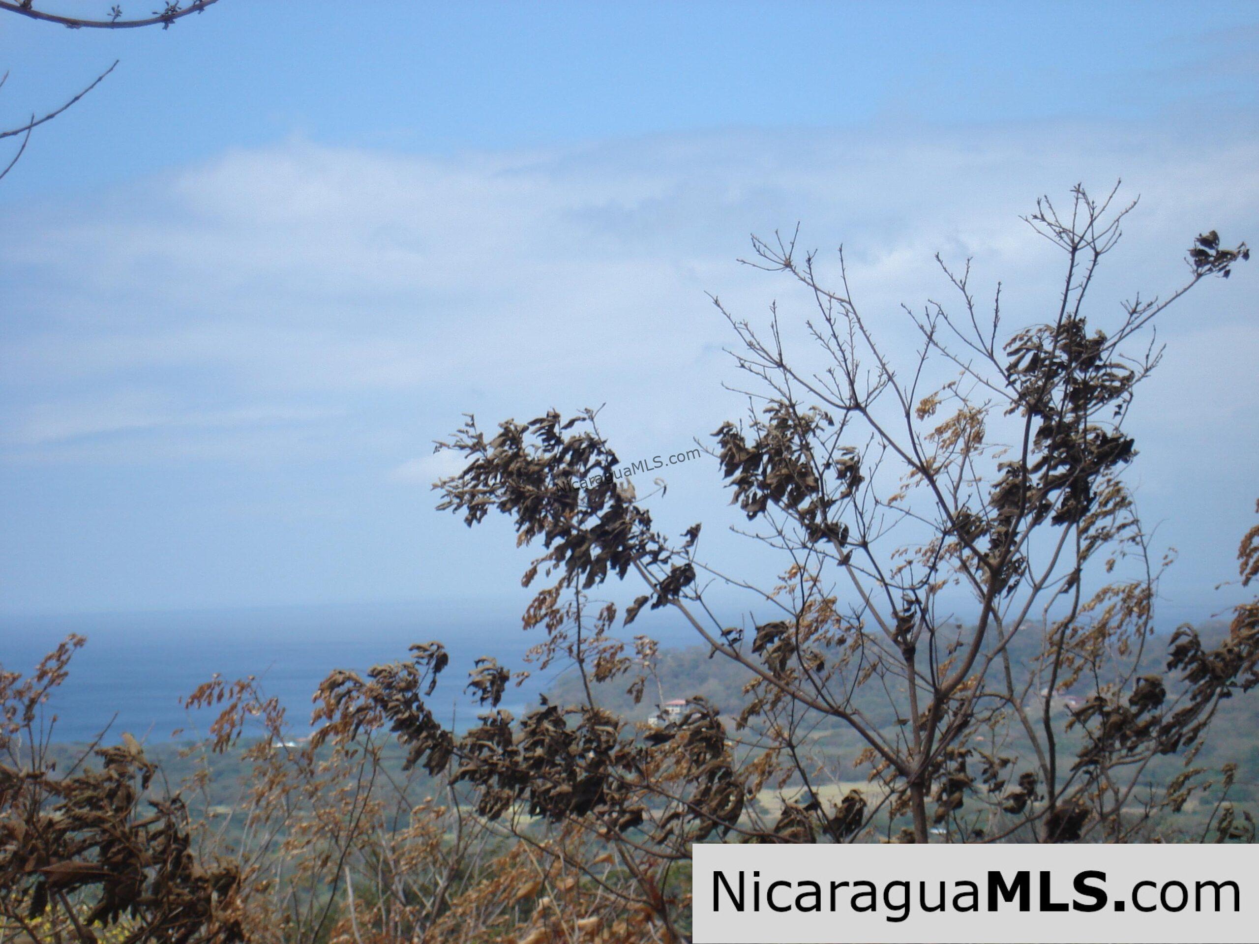Rancho Papayal Lots Near TreeCasa San Juan Del Sur