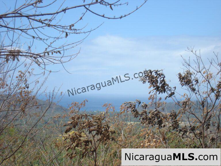 Price Drop Alert! Snag Your Slice of Paradise at Rancho Papayal for Only $39,000!