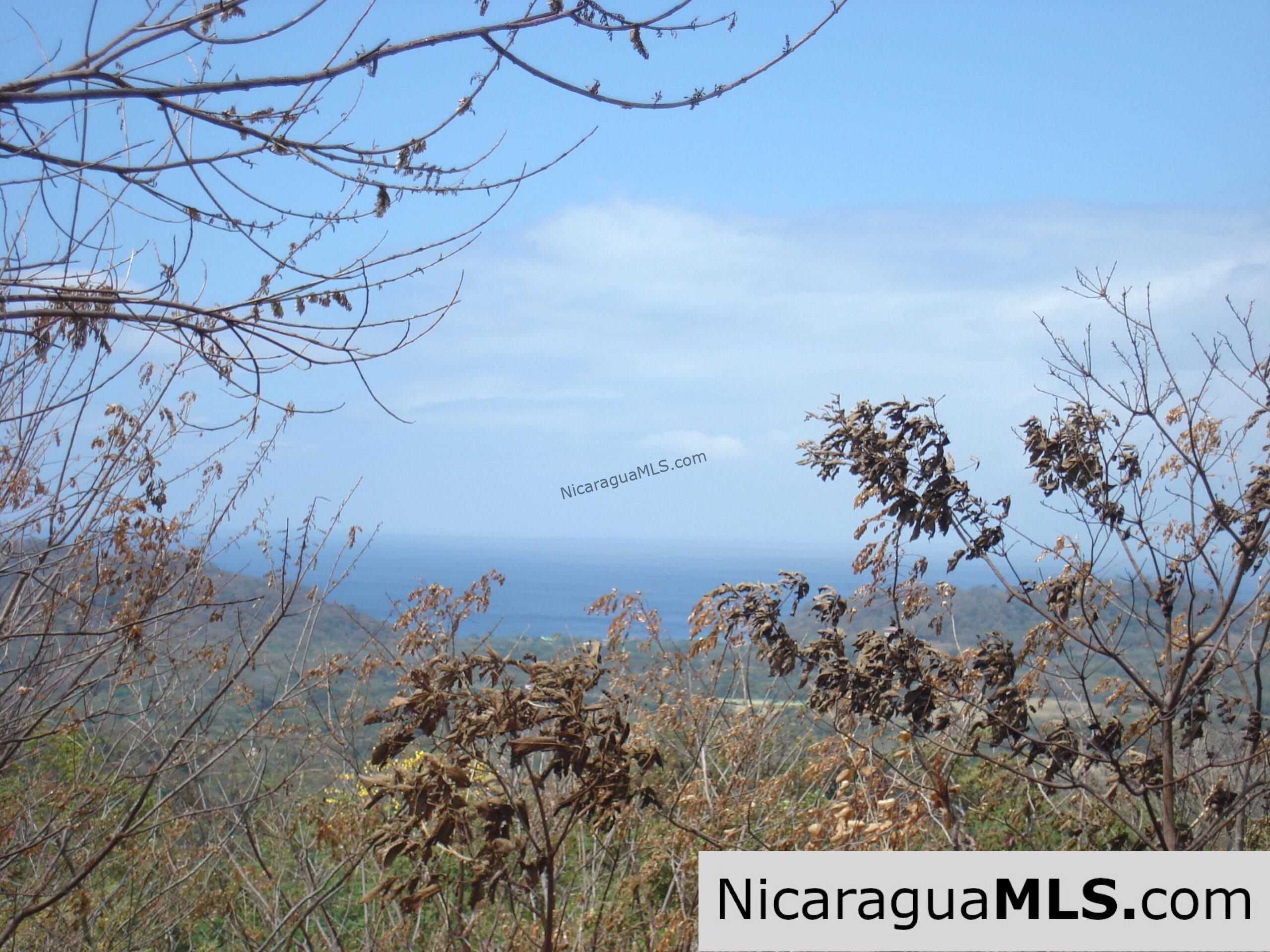 Rancho Papayal Lots Near TreeCasa San Juan Del Sur