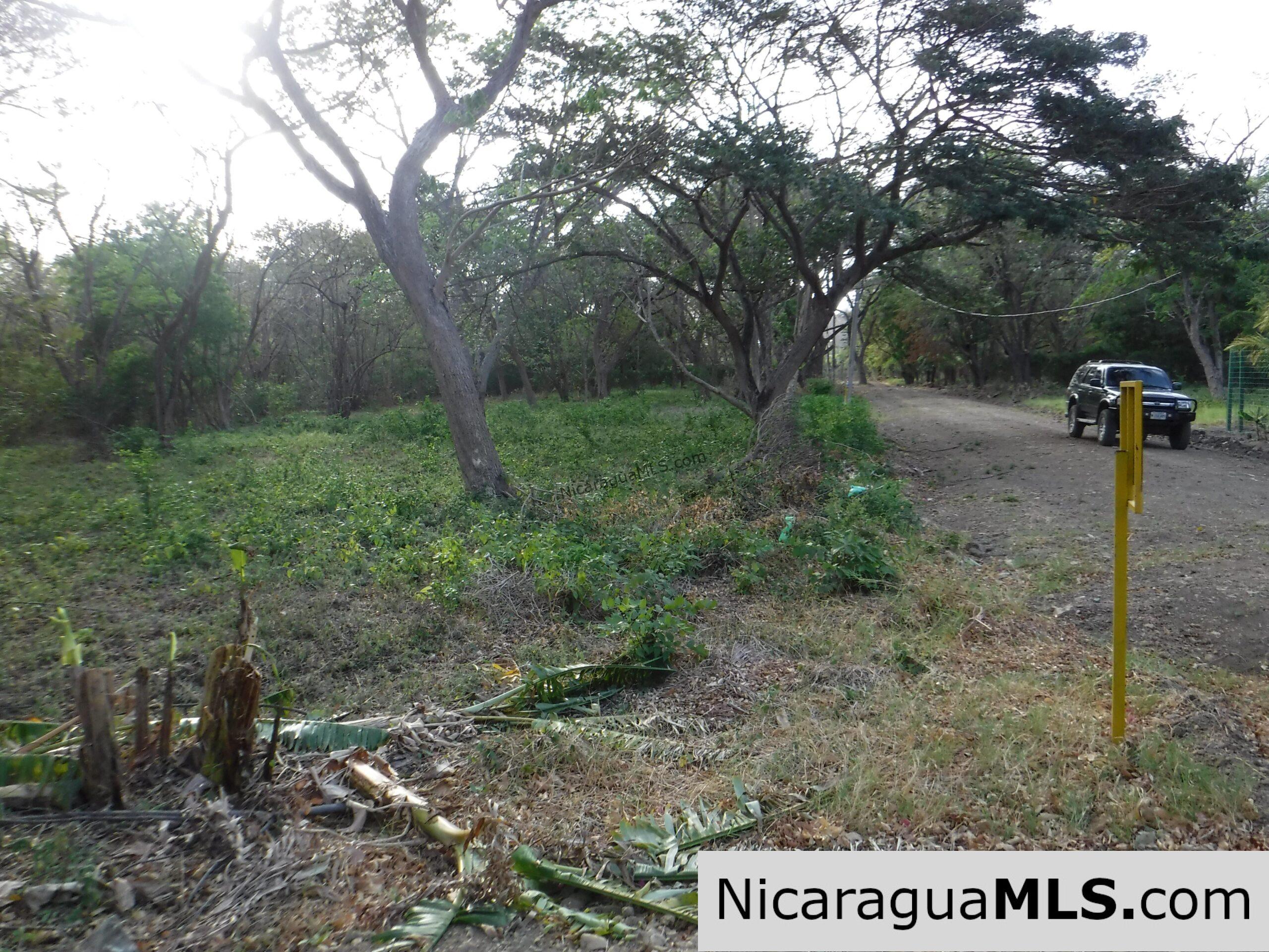 Side by Side Corner Lots Available in Bosque del Mar