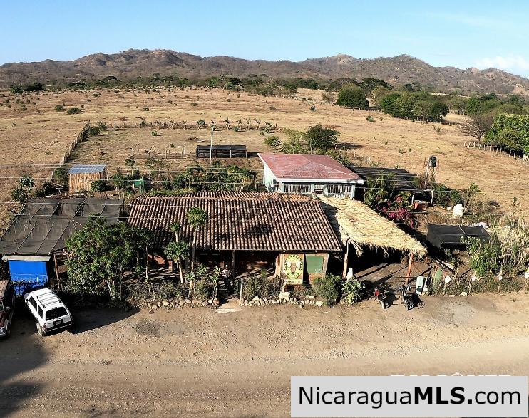 El Limon Dos Property with a Variety of Fruit Trees in Tola