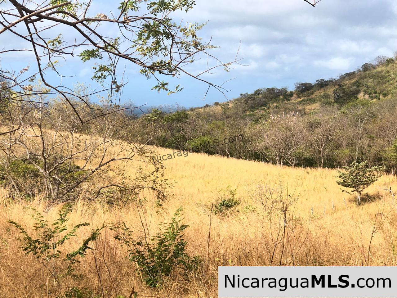 El Oro Flat Lot Ready to Build with Access to Water & Electricity