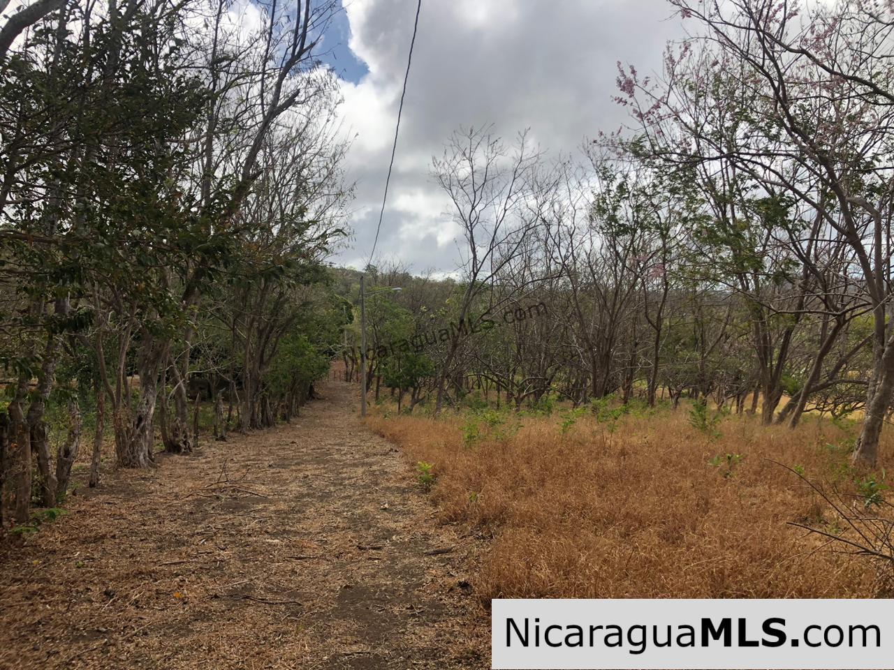 El Oro Flat Lot Ready to Build with Access to Water & Electricity