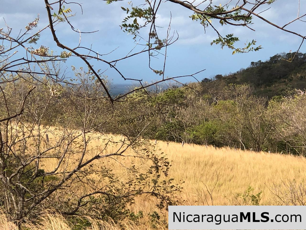 El Oro Flat Lot Ready to Build with Access to Water & Electricity